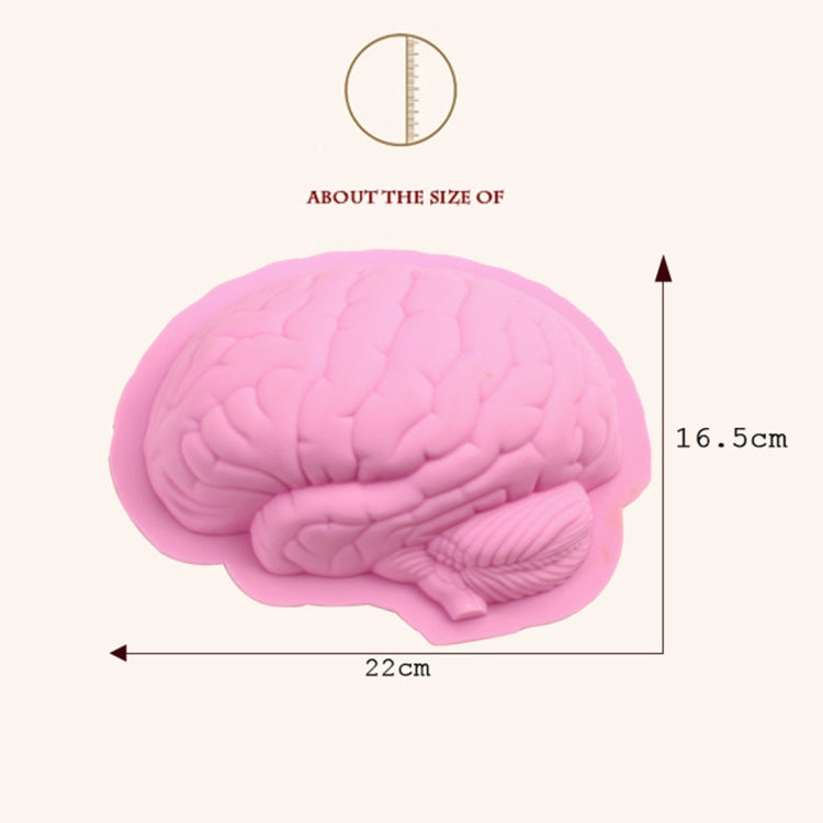 สมองมนุษย์รูปร่างซิลิโคนเบเกอรี่แม่พิมพ์เค้กฮาโลวีนพุดดิ้งแม่พิมพ์ขนม, Brain Shape