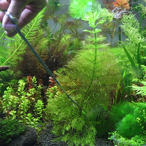 3 in 1 สแตนเลสกรรไกร, แหนบและคลิป, ต้นไม้หญ้า Miniatures Aquarium Fish Tank Landscape Trim เครื่องมือ, 3 PCS