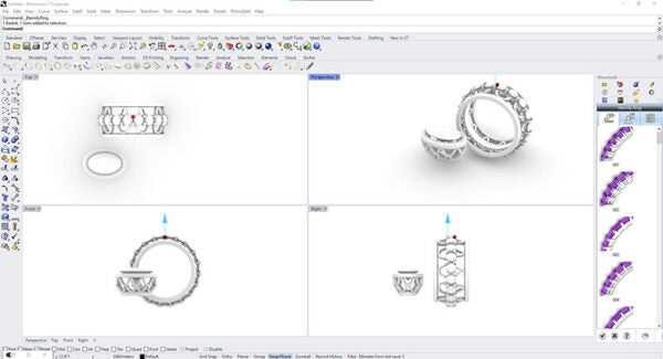 RhinoGold v6.6 Full Version Lifetime for Windows