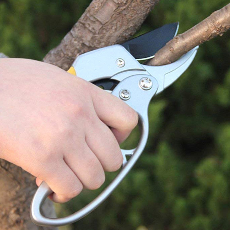 ประหยัดแรงงานมือสวนกรรไกรทำสวนจะงอยปากคู่มือสาขากรรไกรตัดแต่งกิ่ง, Branch Pruning Shears