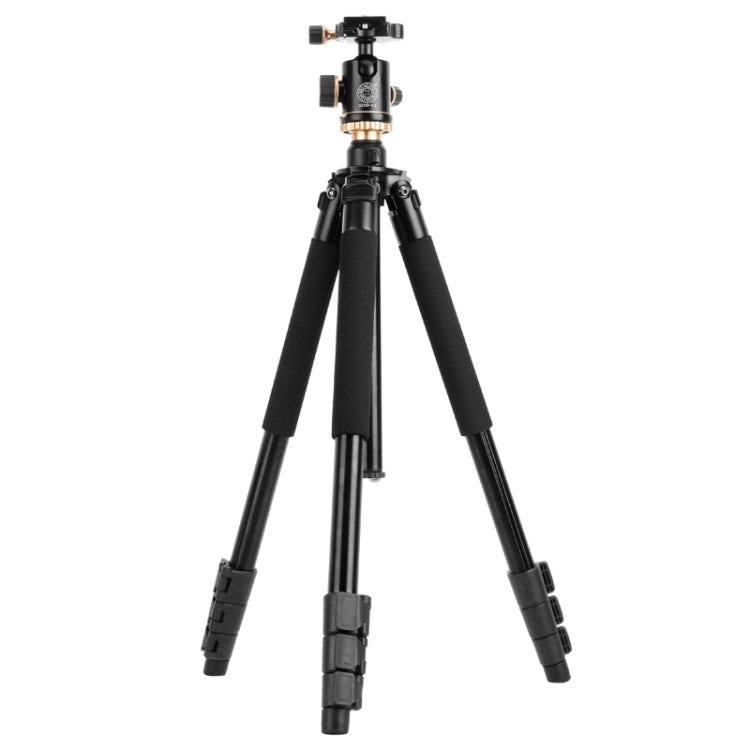 Q338 ขาพับ 4 ส่วนถ่ายทอดสดอลูมิเนียมอัลลอยด์ขาตั้งกล้อง, Q338With Three-dimensional Head, Q338 With Ball Head