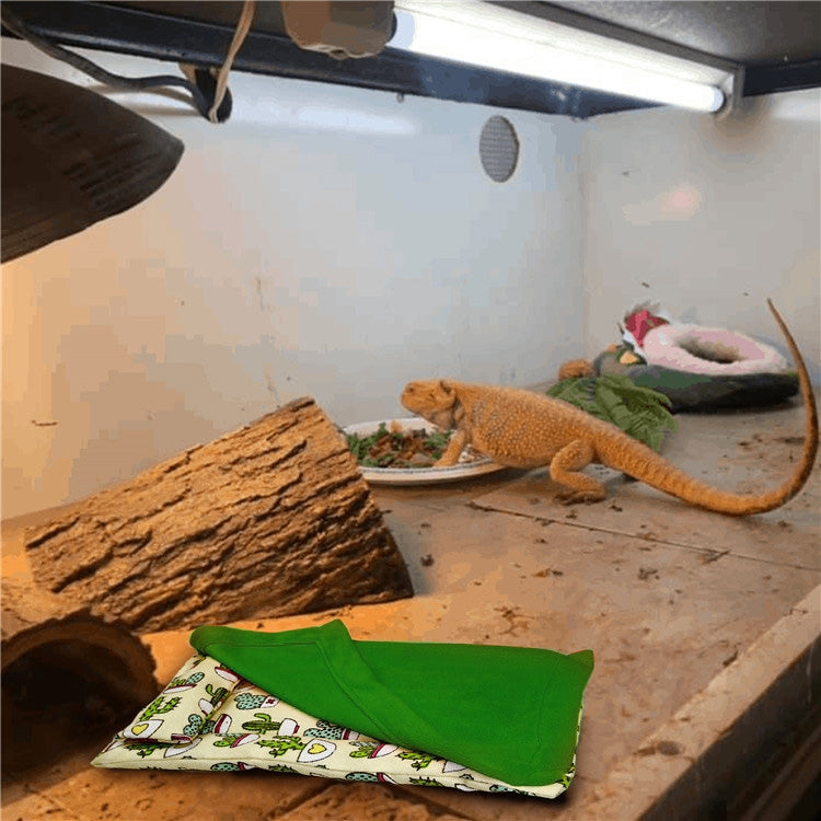 ถุงนอนสัตว์เลื้อยคลาน Gecko Lizard พร้อมหมอนหนูแฮมสเตอร์ถุงนอนสัตว์เลี้ยง