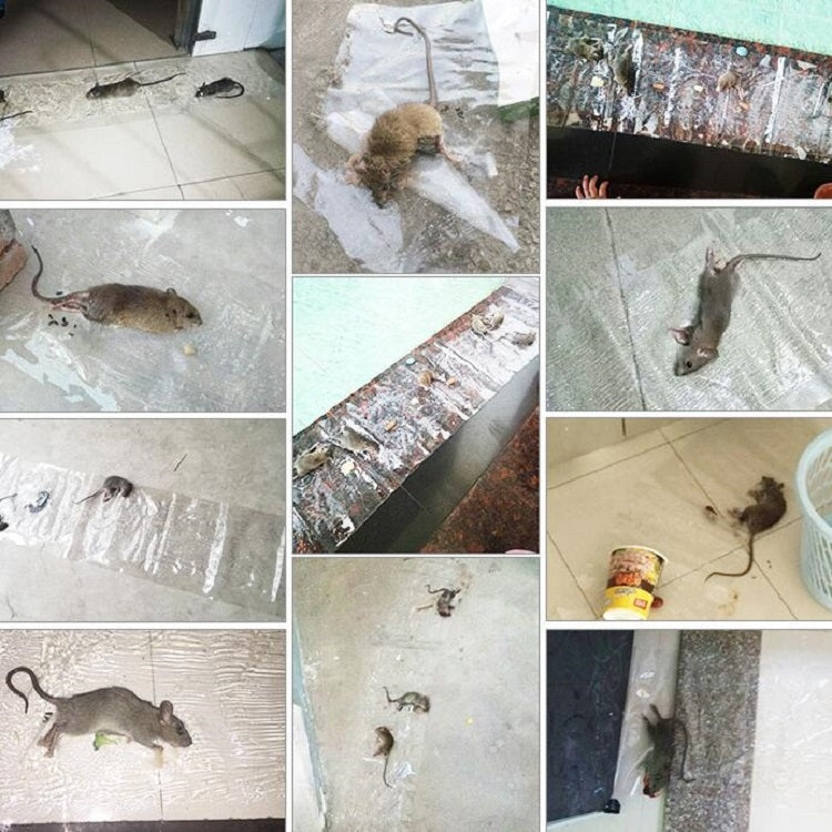 Anti-rodent Strong Sticky Board เมาส์เหนียวโปร่งใสพร้อมกาวดักหนู, Long Transparent