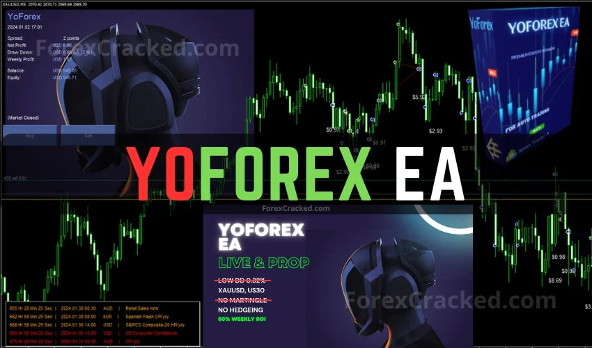 YoForex FREE EA