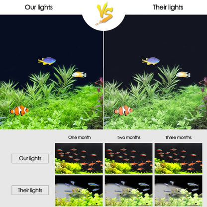 XY-30K พิพิธภัณฑ์สัตว์น้ำ ตู้ปลาแก้ว LED โคมไฟยึดน้ำ, ปลั๊ก US, XY-30K