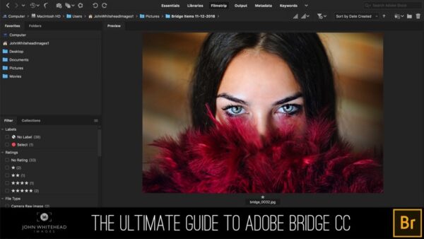 Adobe Bridge 2022 Full Version Lifetime for Windows