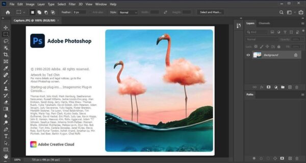 Best Content Editor 2021 Software Bundle