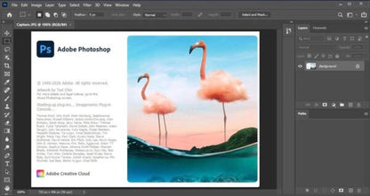 Best Content Editor 2021 Software Bundle