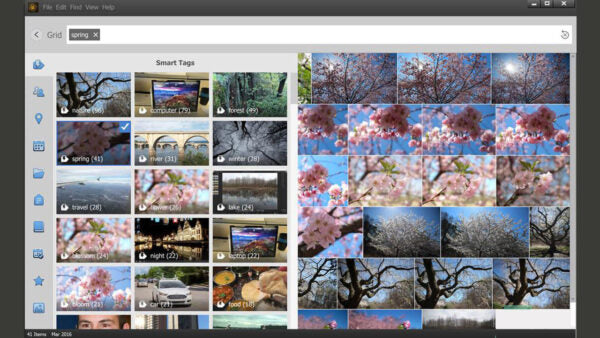 Adobe Photoshop Elements 2022 Multilingual for Windows