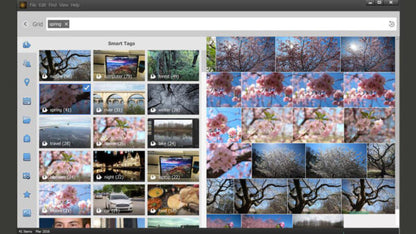 Adobe Photoshop Elements 2022 Multilingual for Windows