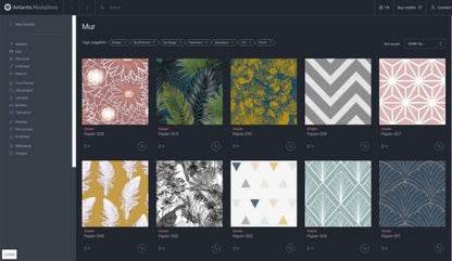 Artlantis 2021 v9 + Media Library Full Version for Windows