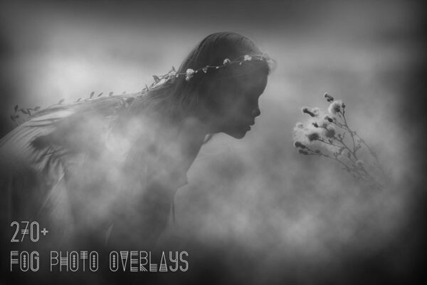 Avanquest 5000+ Massive Photo Overlays Bundle