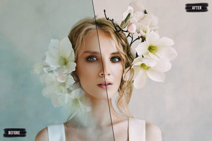 Avanquest 7000+ Professional LUTs 2021