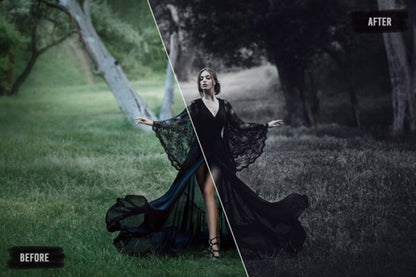 Avanquest 7000+ Professional LUTs 2021