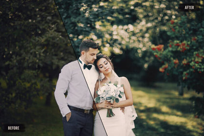 Avanquest 7000+ Professional LUTs 2021