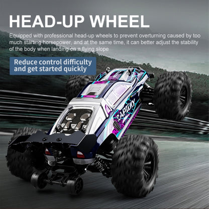 SCY-16101 2.4G 1:16 ไฟฟ้า 4WD RC รถบรรทุกมอนสเตอร์รถรถเก๋งของเล่น, SCY-16101 / Blue