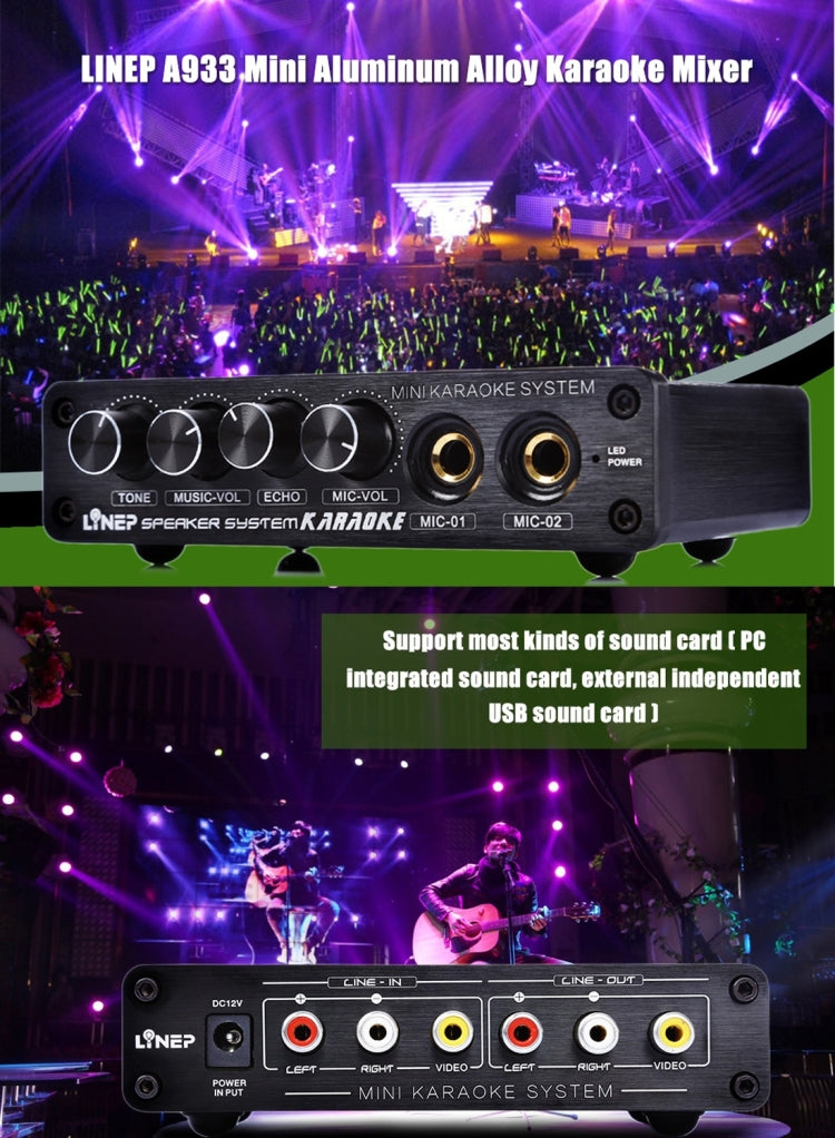 A933 มินิเครื่องคาราโอเกะระบบเครื่องขยายเสียงสำหรับ PC/TV/โทรศัพท์มือถือ, รองรับ RCA/2 ช่อง MIC IN, A933