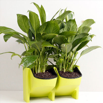 PP Planter กระถางดอกไม้แขวนผนังสวนแขวน STACKABLE Garden อุปกรณ์