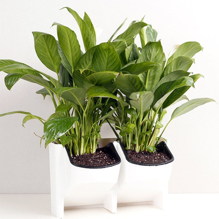 PP Planter กระถางดอกไม้แขวนผนังสวนแขวน STACKABLE Garden อุปกรณ์