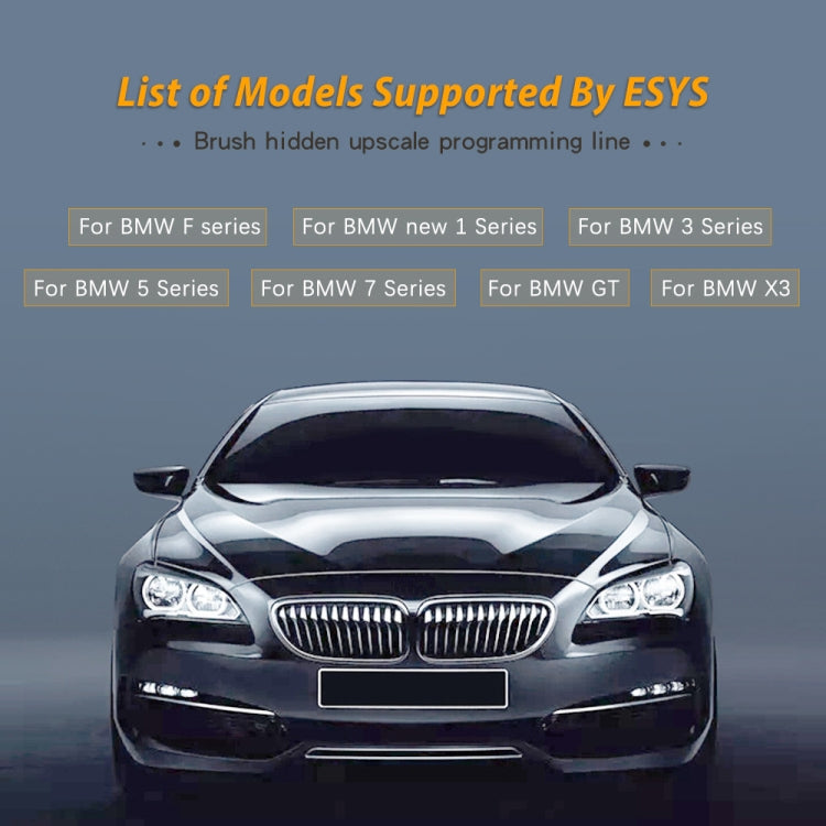 ESYS ENET สำหรับ ICOM BMW F-Series พร้อมชุดสายซ่อนแปรงรถยนต์ CD V50.3 ครบชุด, Car Brush Hidden Cable