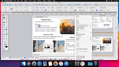 Canvas X Draw (2020) v7.0.0 Final Full Version MacOS