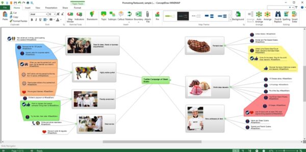 ConceptDraw MINDMAP 2021 v13 Full Version for MacOS