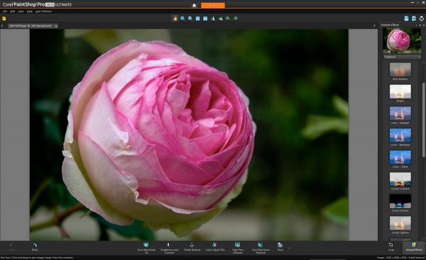 Corel PaintShop Pro 2020 Ultimate Final for Windows