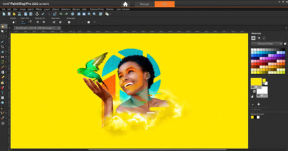 Corel PaintShop Pro 2022 Full Version Final for Windows
