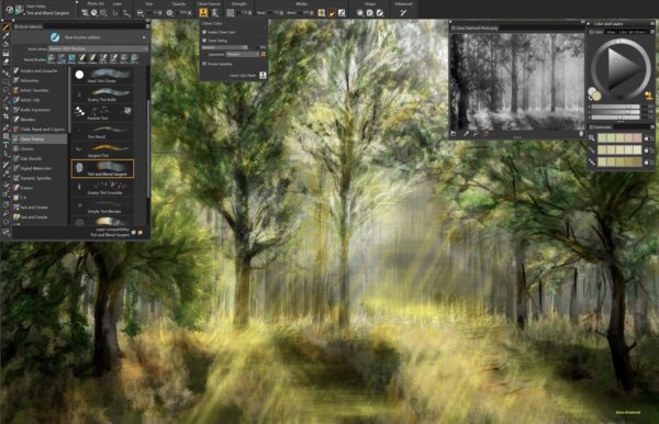 Corel Painter 2022 Full Version for Windows