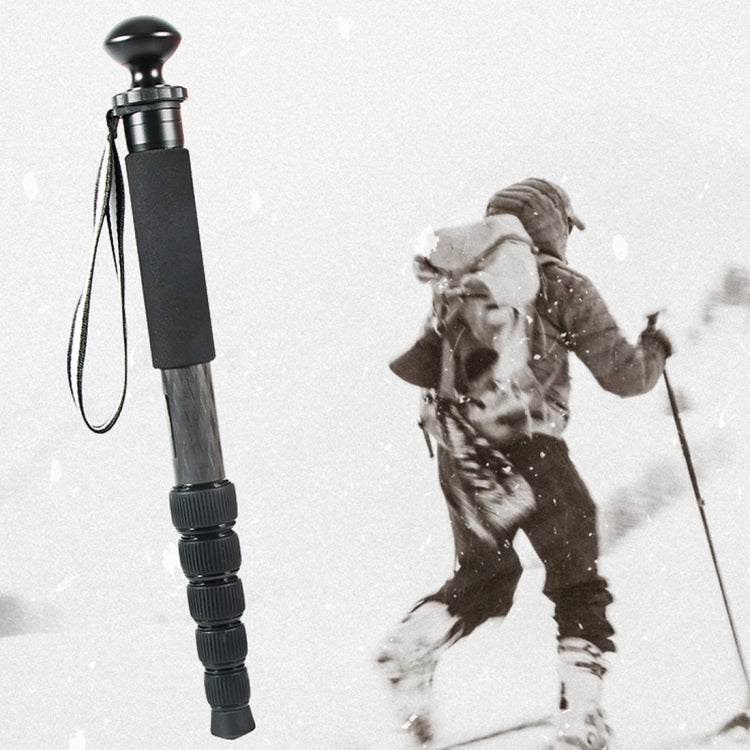 BEXIN P306C แบบพกพากลางแจ้งกล้อง DSLR ผู้ถือ Monopod คาร์บอนไฟเบอร์, P306C