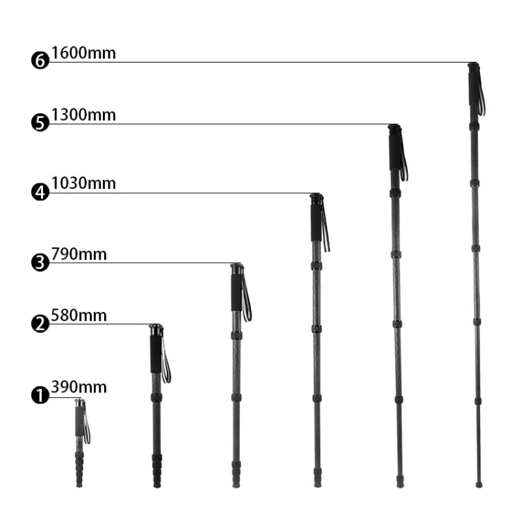 BEXIN P306C แบบพกพากลางแจ้งกล้อง DSLR ผู้ถือ Monopod คาร์บอนไฟเบอร์, P306C