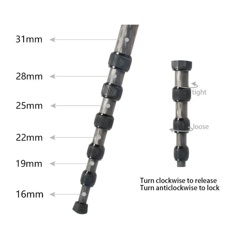 BEXIN P306C แบบพกพากลางแจ้งกล้อง DSLR ผู้ถือ Monopod คาร์บอนไฟเบอร์, P306C