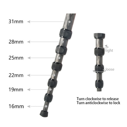 BEXIN P306C แบบพกพากลางแจ้งกล้อง DSLR ผู้ถือ Monopod คาร์บอนไฟเบอร์, P306C
