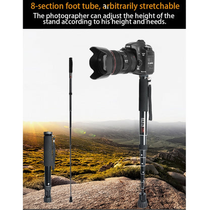 BEXIN P308 กล้อง DSLR กลางแจ้งแบบพกพาอลูมิเนียมอัลลอยด์ผู้ถือ Monopod, P308