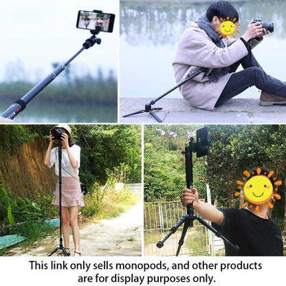 BEXIN P308 กล้อง DSLR กลางแจ้งแบบพกพาอลูมิเนียมอัลลอยด์ผู้ถือ Monopod, P308