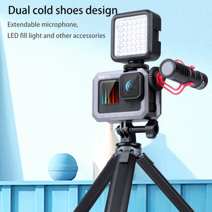 RUIGPRO สำหรับ GoPro HERO10 Black / HERO9 Black Metal Border Frame Mount กรงป้องกันพร้อมฐานรองเท้าเย็นคู่, Silver Grey