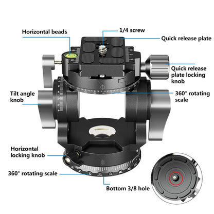 BEXIN DT-02R/S 2D 720 องศา Panorama Heavy Duty ขาตั้งกล้อง Action Fluid Drag Head พร้อม Quick Release Plate, DT-02R/S