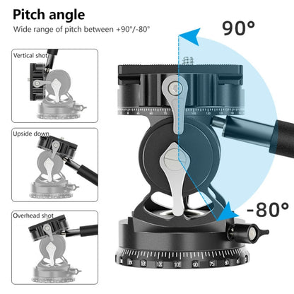 BEXIN DT-02R/S 2D 720 องศา Panorama Heavy Duty ขาตั้งกล้อง Action Fluid Drag Head พร้อม Quick Release Plate, DT-02R/S