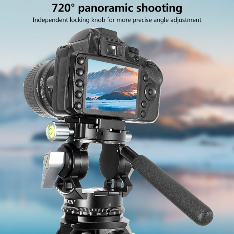 BEXIN DT-02R/S 2D 720 องศา Panorama Heavy Duty ขาตั้งกล้อง Action Fluid Drag Head พร้อม Quick Release Plate, DT-02R/S