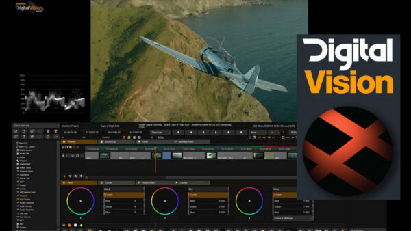 Digital Vision Phoenix 2021 Final Full Version for Windows