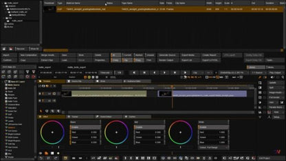 Digital Vision Phoenix 2021 Final Full Version for Windows