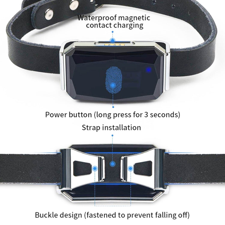 G06 IP67 สัตว์เลี้ยงกันน้ำ GPS Tracker ตัวระบุตำแหน่งสุนัข, G12