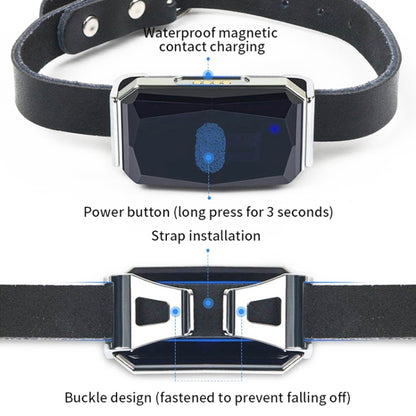G06 IP67 สัตว์เลี้ยงกันน้ำ GPS Tracker ตัวระบุตำแหน่งสุนัข, G12