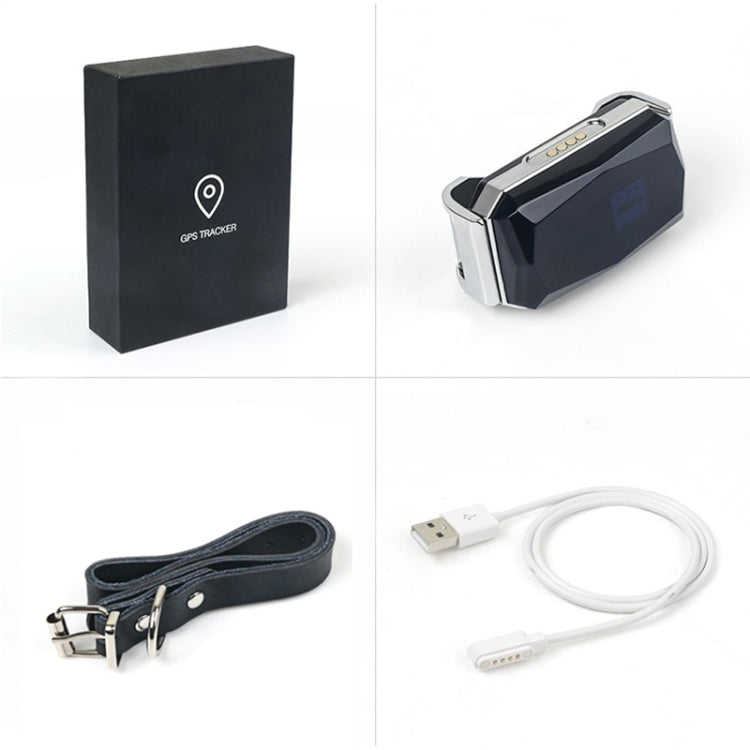 G06 IP67 สัตว์เลี้ยงกันน้ำ GPS Tracker ตัวระบุตำแหน่งสุนัข, G12