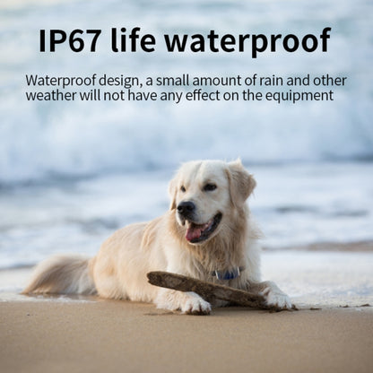 G06 IP67 สัตว์เลี้ยงกันน้ำ GPS Tracker ตัวระบุตำแหน่งสุนัข, G12