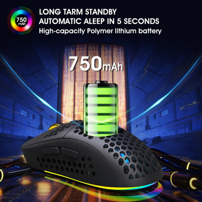 HXSJ T90 RGB Light เมาส์เล่นเกมไร้สายสามโหมด
