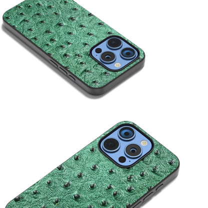 ABEEL เคสโทรศัพท์หนังแท้ลายนกกระจอกเทศ, For iPhone 16 Pro Max, For iPhone 16 Pro, For iPhone 16 Plus, For iPhone 16, For iPhone 15 Pro Max, For iPhone 15 Pro, For iPhone 15 Plus, For iPhone 15, For iPhone 14 Plus, For iPhone 14, For iPhone 14 Pro      ...