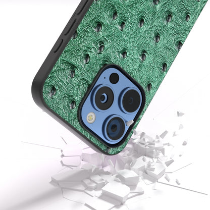 ABEEL เคสโทรศัพท์หนังแท้ลายนกกระจอกเทศ, For iPhone 16 Pro Max, For iPhone 16 Pro, For iPhone 16 Plus, For iPhone 16, For iPhone 15 Pro Max, For iPhone 15 Pro, For iPhone 15 Plus, For iPhone 15, For iPhone 14 Plus, For iPhone 14, For iPhone 14 Pro      ...