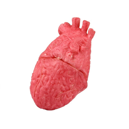 อุปกรณ์ประกอบฉากฮาโลวีนตลกยอดนิยมหัวใจปลอม, Fake Heart
