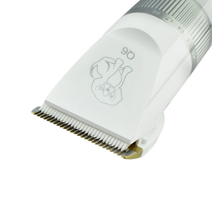 Q6 เครื่องโกนหนวดไฟฟ้าสำหรับชาร์จ USB พร้อมหวีสี่อัน, Q6 Shaver